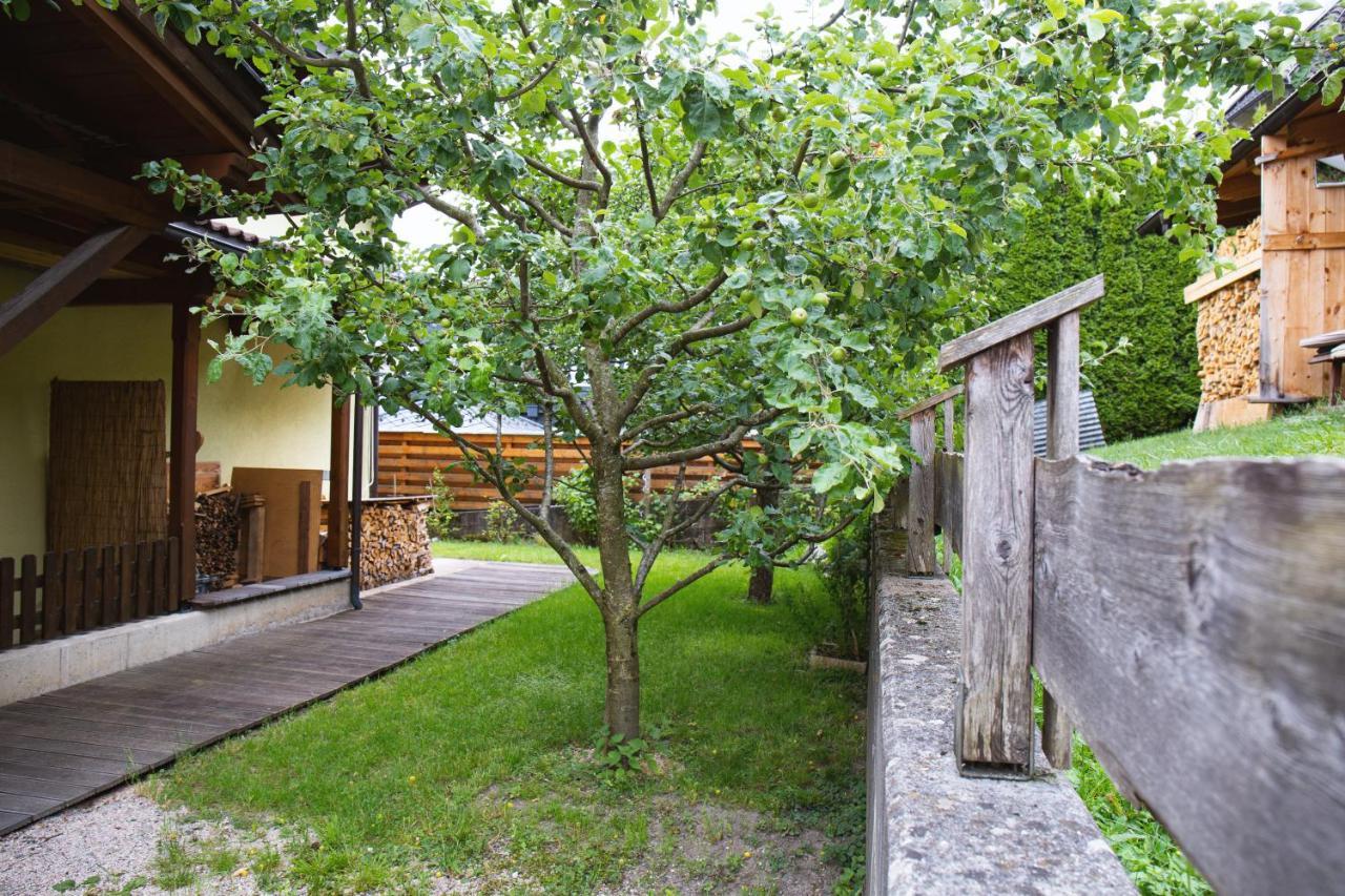 Ferienhaus Schiestl ويسنغ المظهر الخارجي الصورة